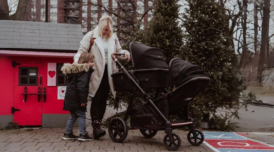 double stroller, mom & kids