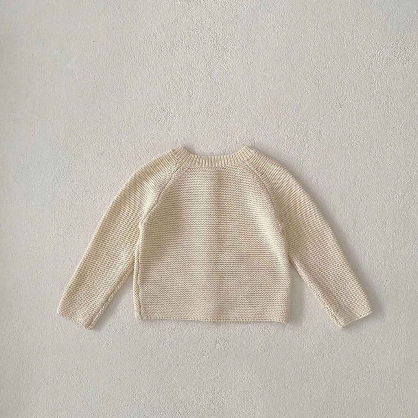 Back View of Animal Embroidery Sweater Cardigan