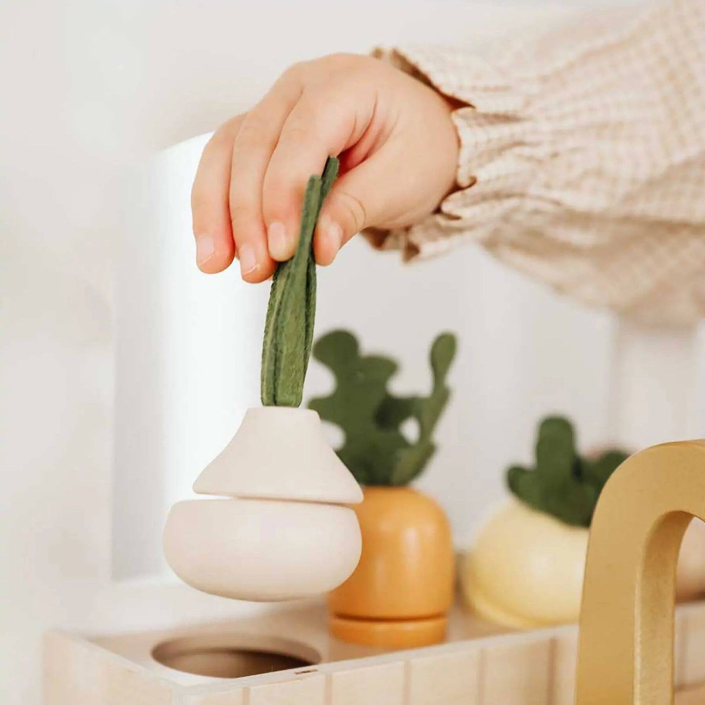Hand holding a small plant over a white pot with more plants in the background