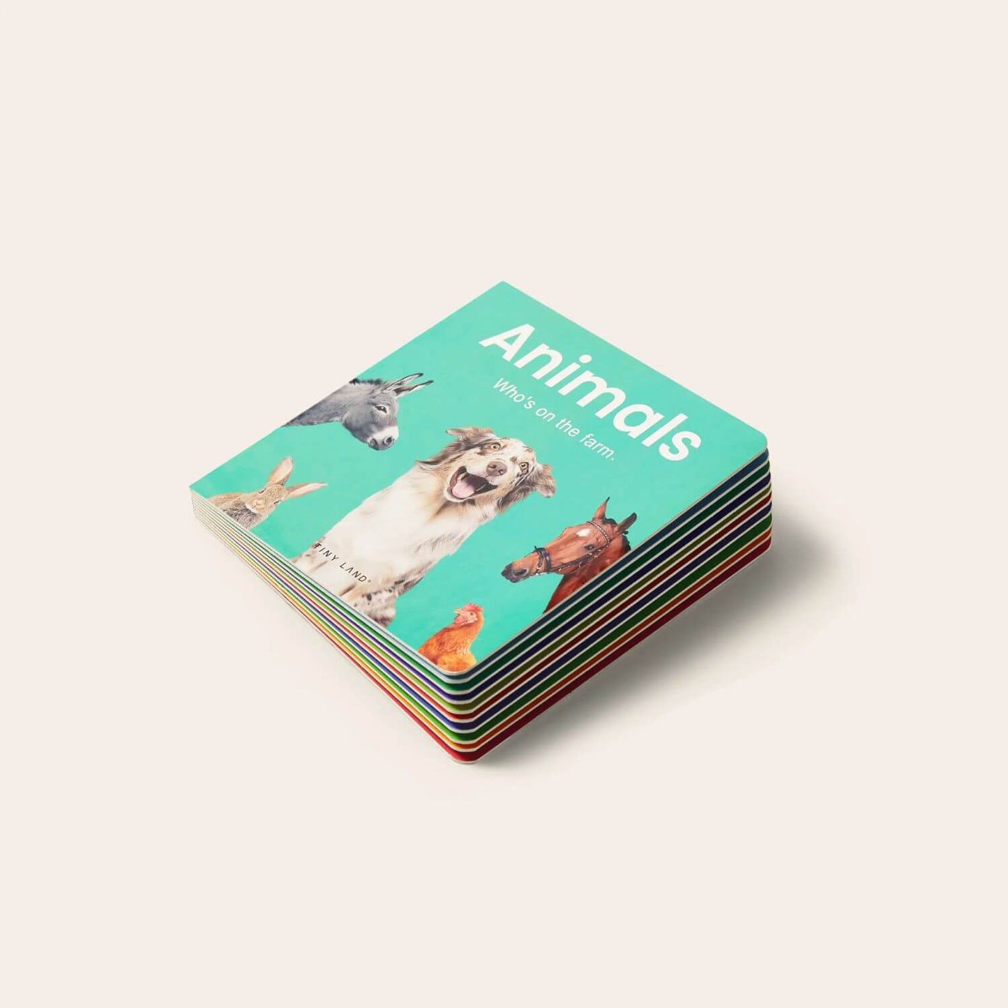 'Animals' Board Book