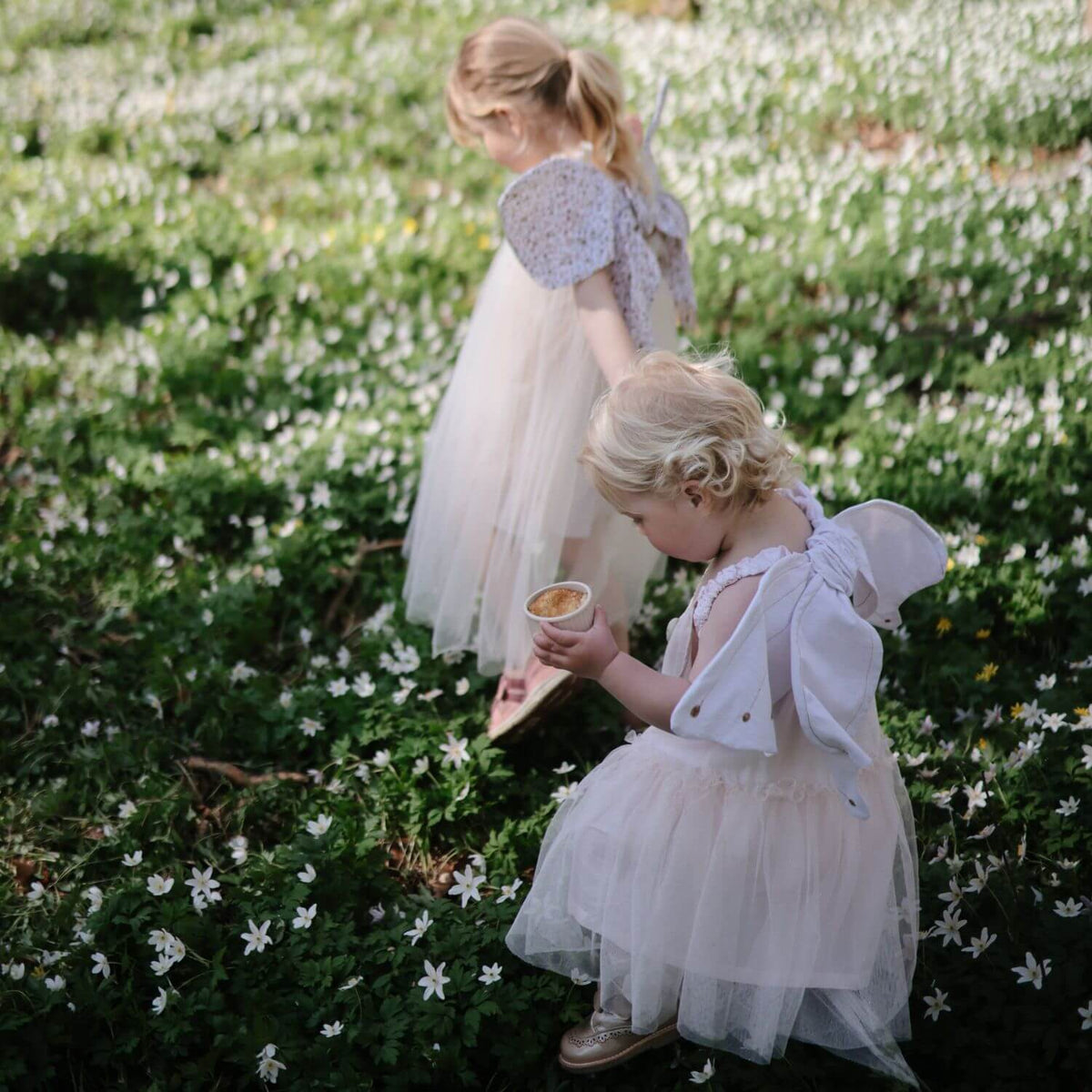 Two young girls in white dresses standing in a field of small white flowers.