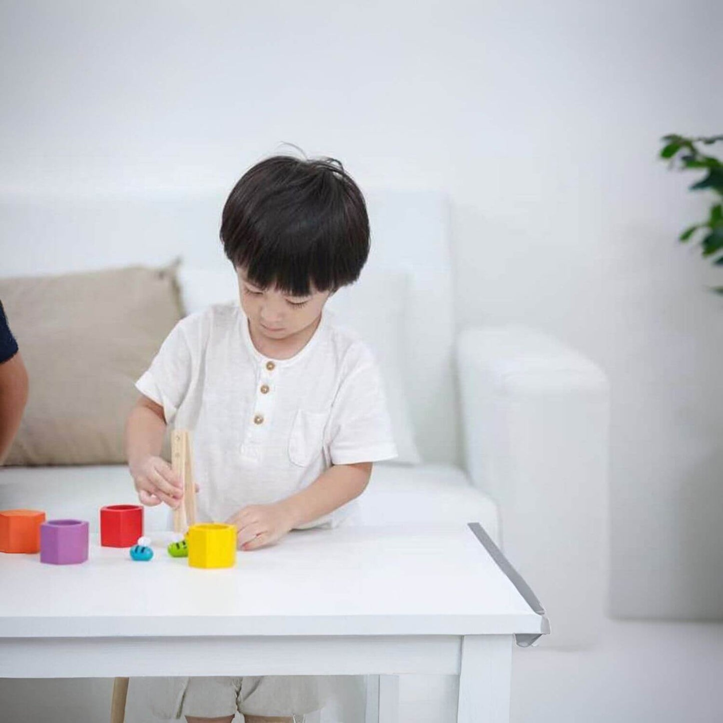 Boy Playing PlanToys Beehives