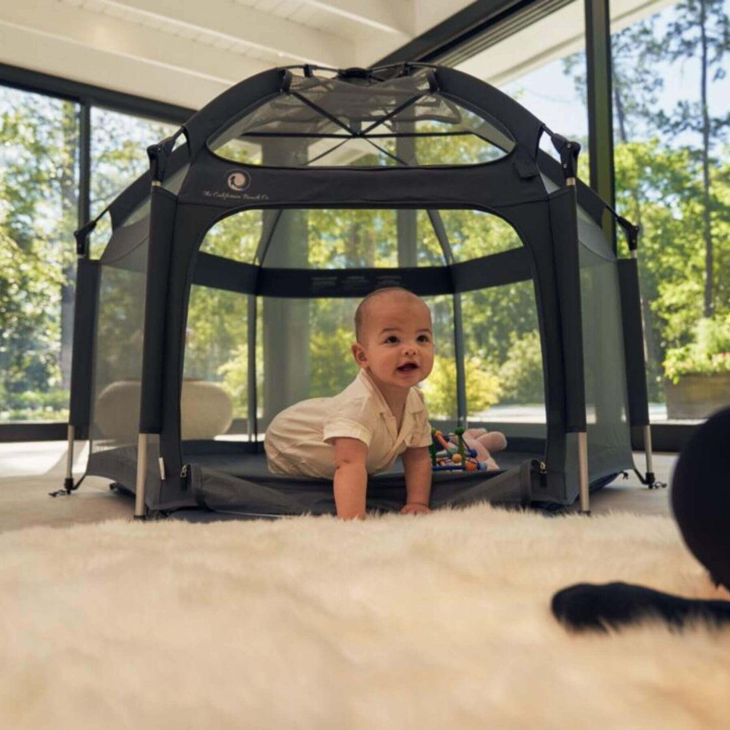 Baby Playing inside Pop 'N Go™ Playpen Dark Gray