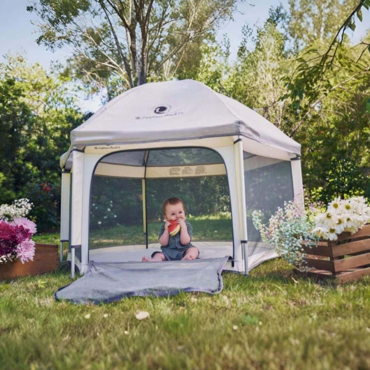 Baby Eating Watermelon inside Pop 'N Go™ Playpen Ivory