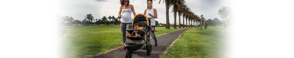 Common Types of Strollers and Which is Perfect for You? – Newborn ...
