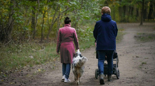Eco-Friendly Stroller Options for Conscious Parents