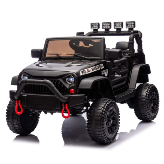 HIFINE 24V Kids Ride On Car - Black