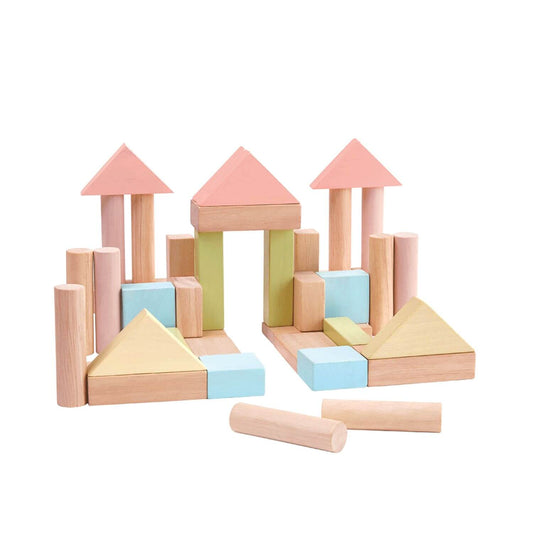 PlanToys 40 Unit Blocks