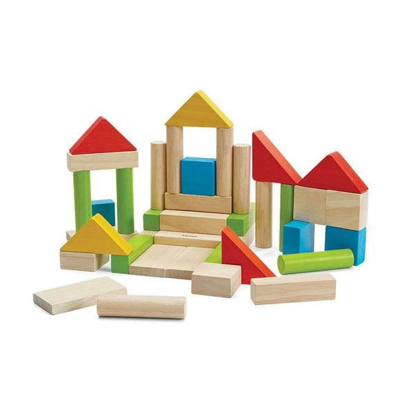 PlanToys 40 Unit Blocks