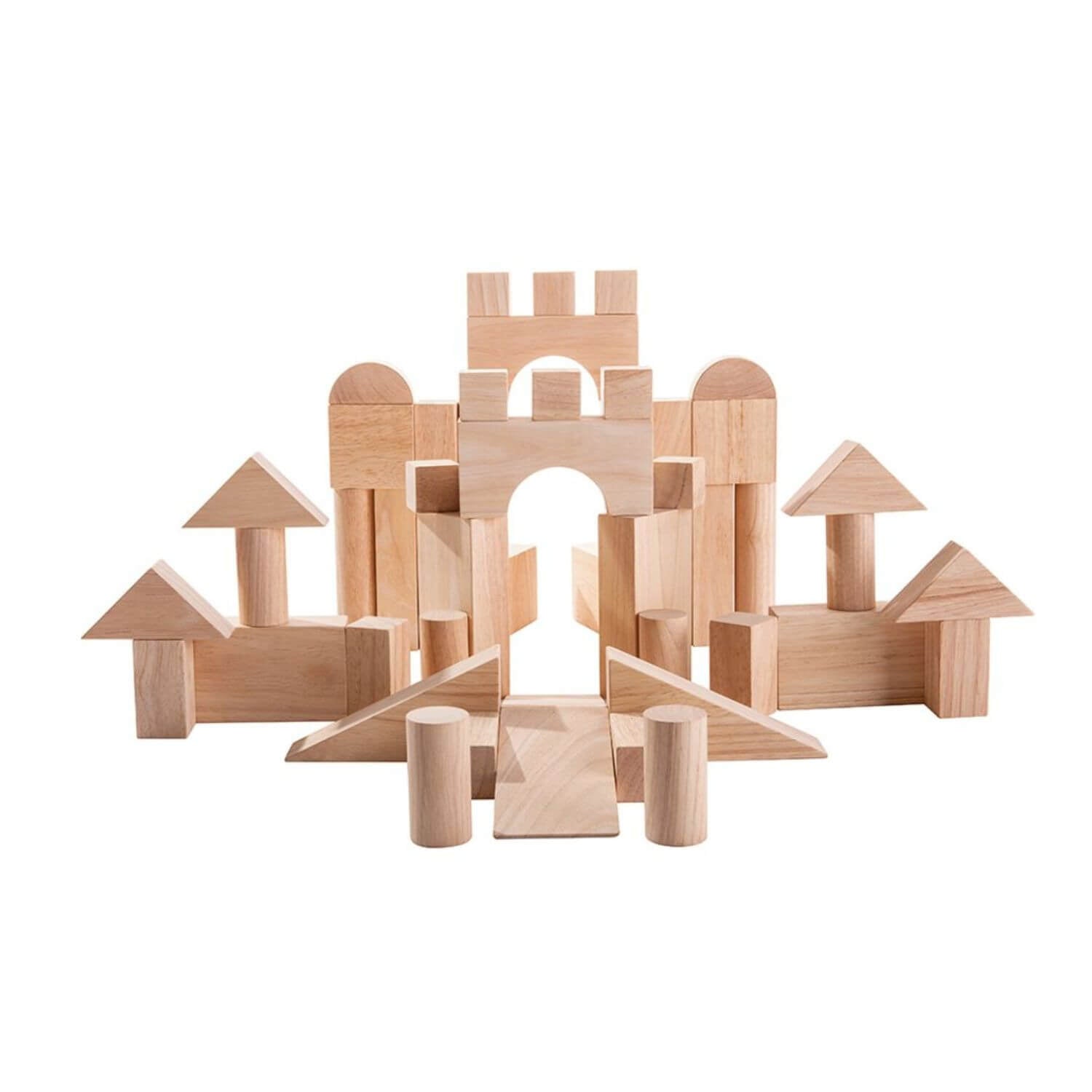 PlanToys 50 Unit Blocks