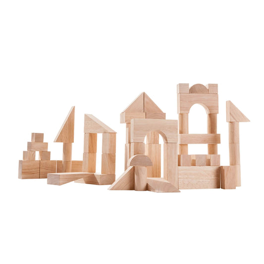 PlanToys 50 Unit Blocks