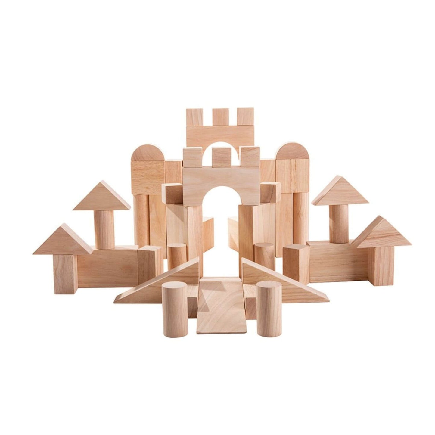 PlanToys 50 Unit Blocks