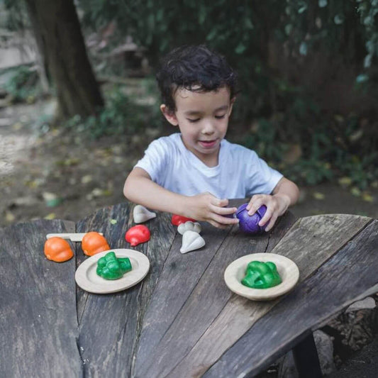 Boy Playing PlanToys 5 Colors Veggie Set