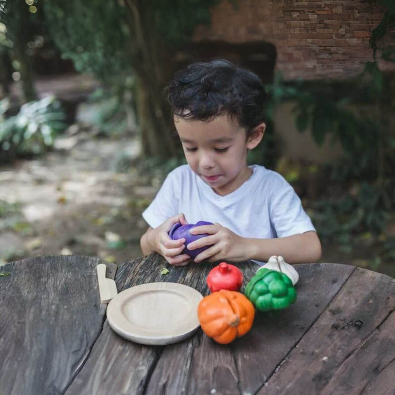 Boy Playing PlanToys 5 Colors Veggie Set