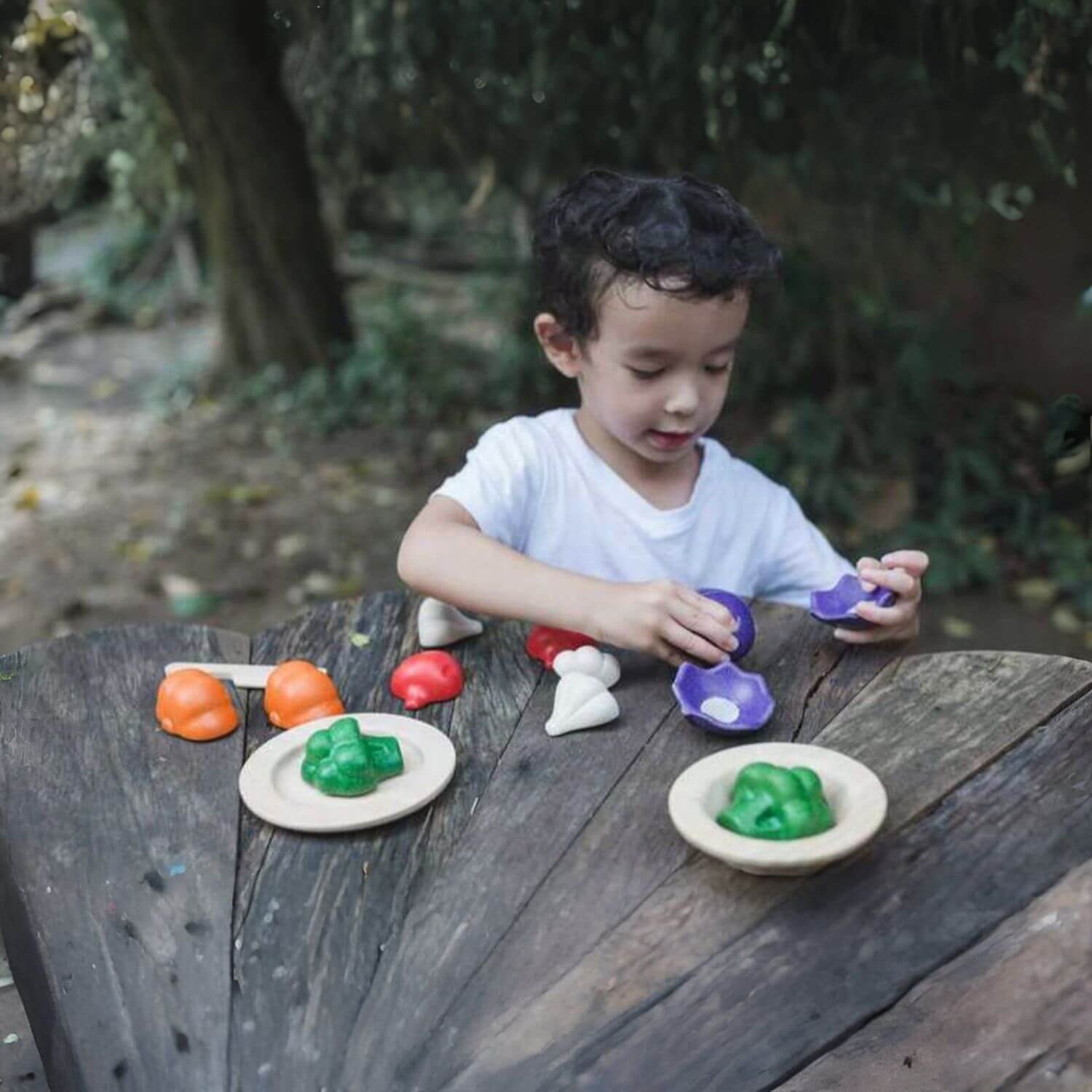 Boy Playing PlanToys 5 Colors Veggie Set