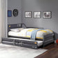 ACME Cargo Twin Daybed & Trundle in Gunmetal - Lifestyle