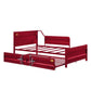 ACME Cargo Twin Daybed & Trundle in Red - Open