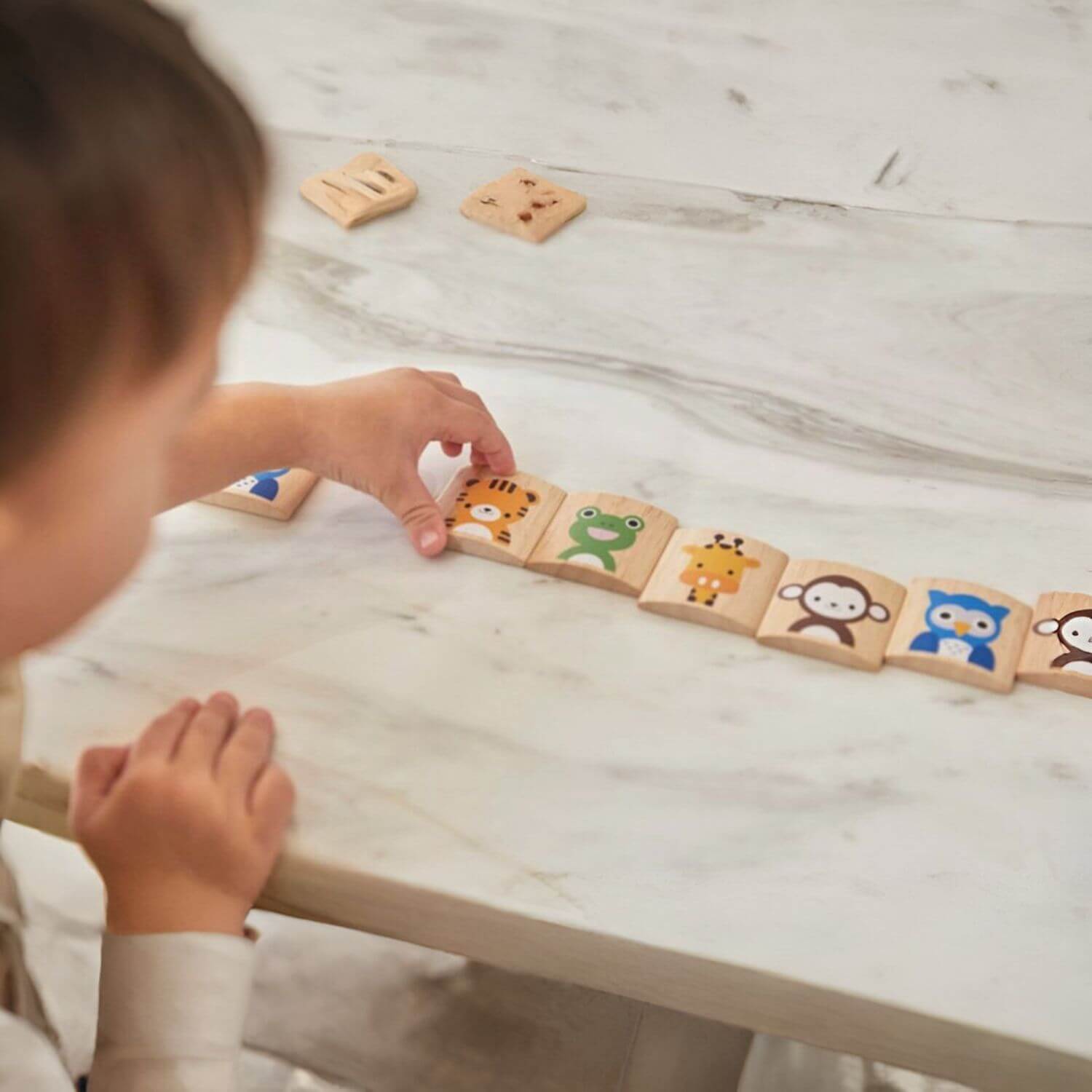 Kid Playing PlanToys Animals Memo