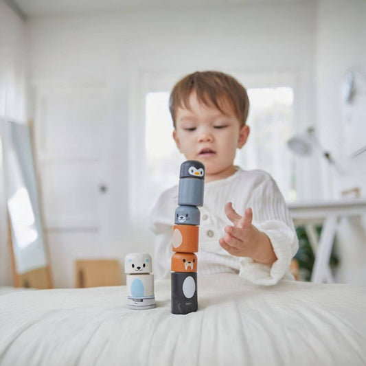 Boy Playing PlanToys Arctic Animal Matching