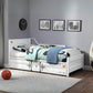 ACME Cargo Metal Frame Twin Daybed & Trundle | White