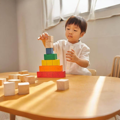 Boy Playing PlanToys Colored Counting Blocks - Unit Plus