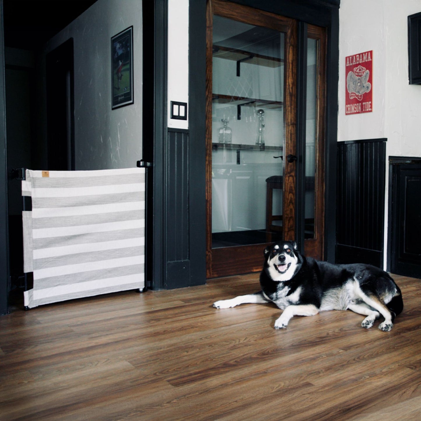 Dog lying on a wooden floor next to Crypton® Fabric Baby & Pet Safety Gate - Oxide in a home setting.