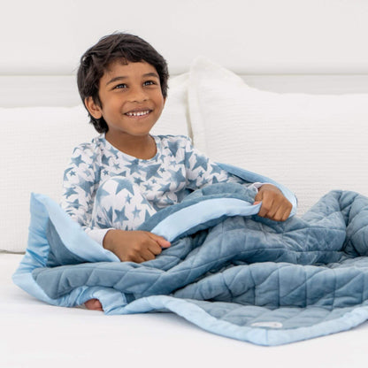 Dreamland Baby Weighted Toddler Blanket