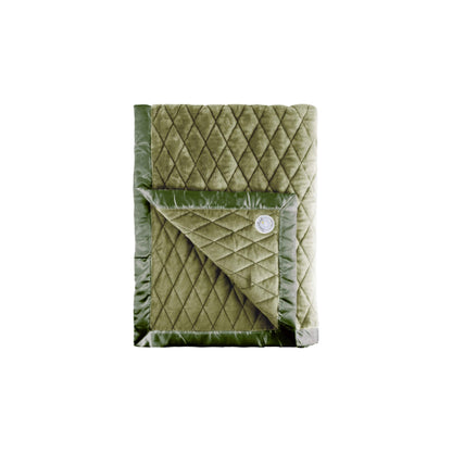 Dreamland Baby Weighted Toddler Blanket