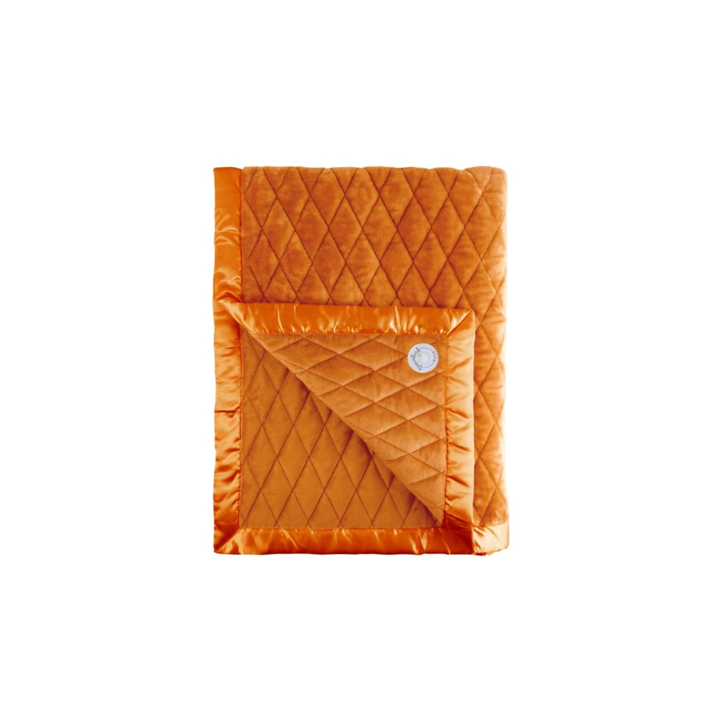 Dreamland Baby Weighted Toddler Blanket