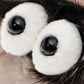 Close-up of Duchess of Hampershire with black centers.