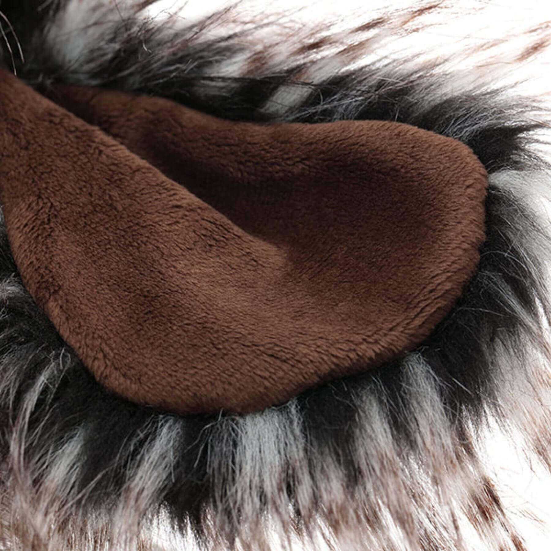 Close-up of Duchess of Hampershire