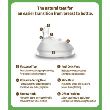 An informational graphic for a baby teat bottle, showing a clear silicone teat with numbered callouts (1-6) and text describing its feeding benefits on a white background with a green border.