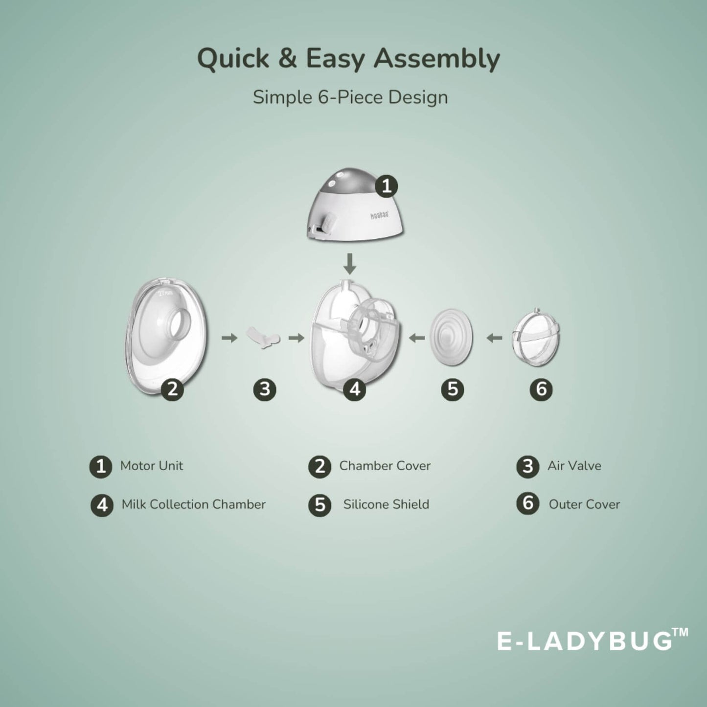 Step-by-step assembly diagram for a product with labeled parts on a light green background, featuring the brand 'E-Ladybug'.