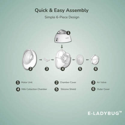 Step-by-step assembly diagram for a product with labeled parts on a light green background, featuring the brand 'E-Ladybug'.