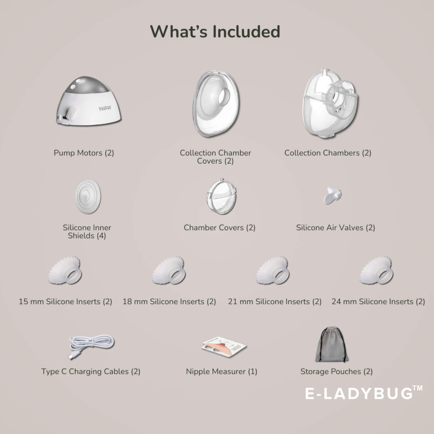 List of included items with corresponding icons on a beige background, featuring E-Ladybug branding.