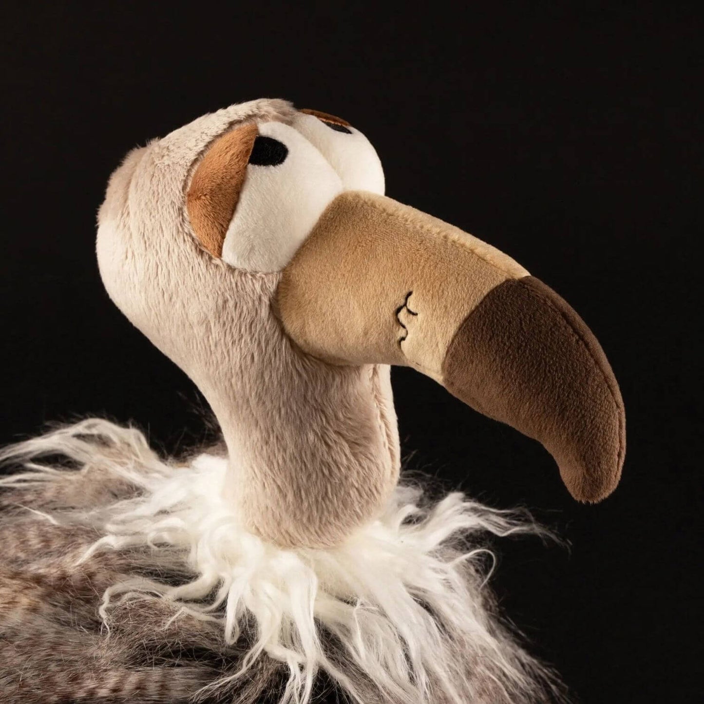 Close-up of sigikid Heia Geyer