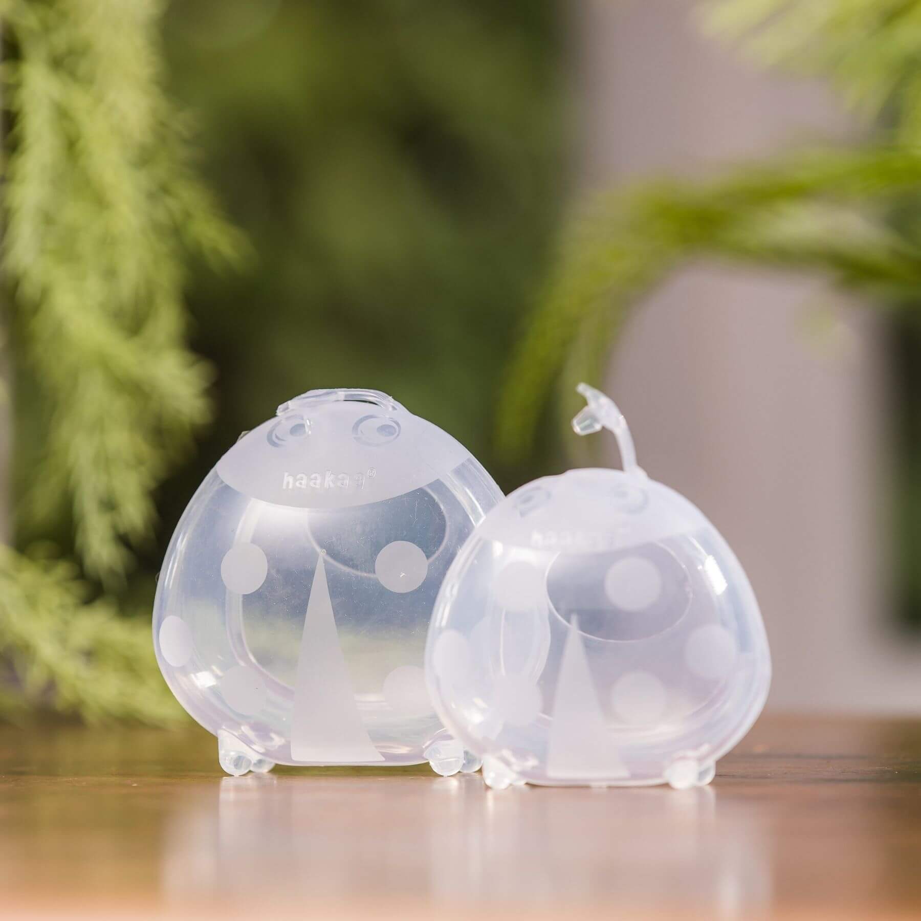 Two Haakaa Ladybug Silicone Milk Collectors on a wooden surface with a blurred green plant background.