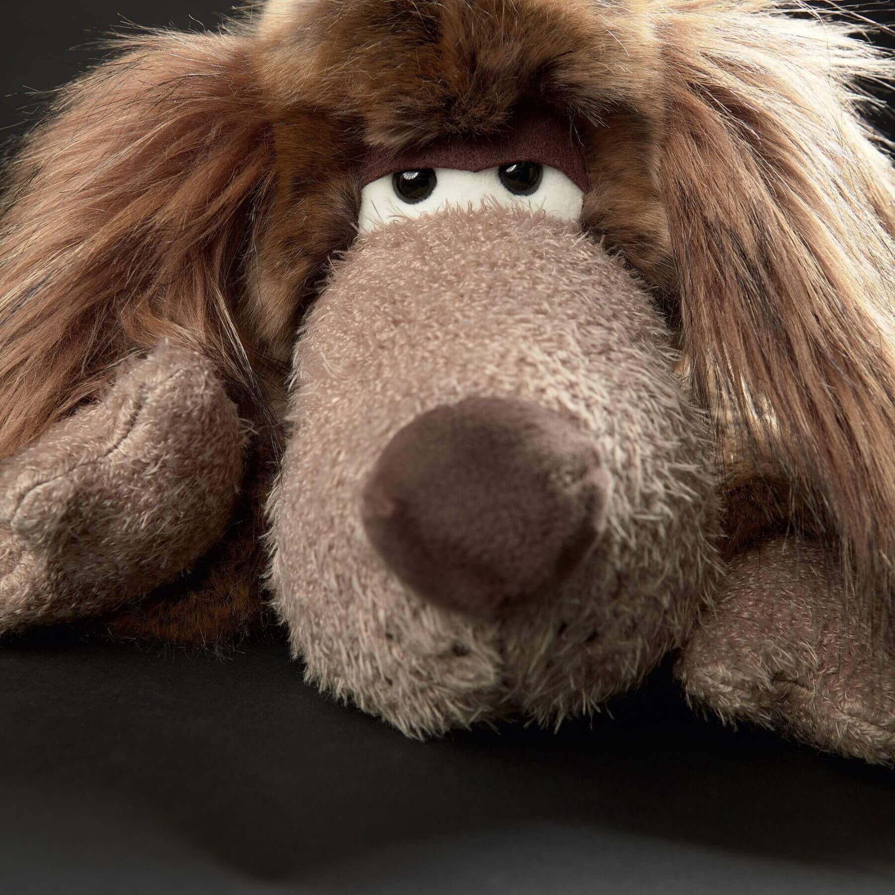 Close-up of sigikid Luri Laluri