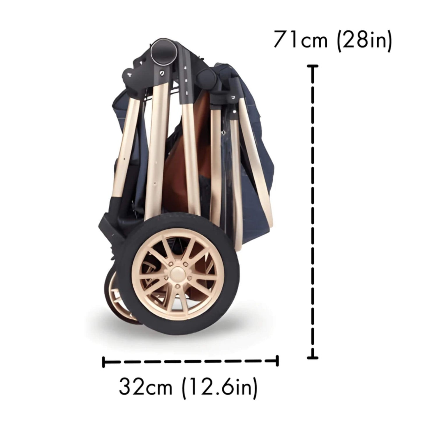 Folded stroller with dimensions labeled on a white background