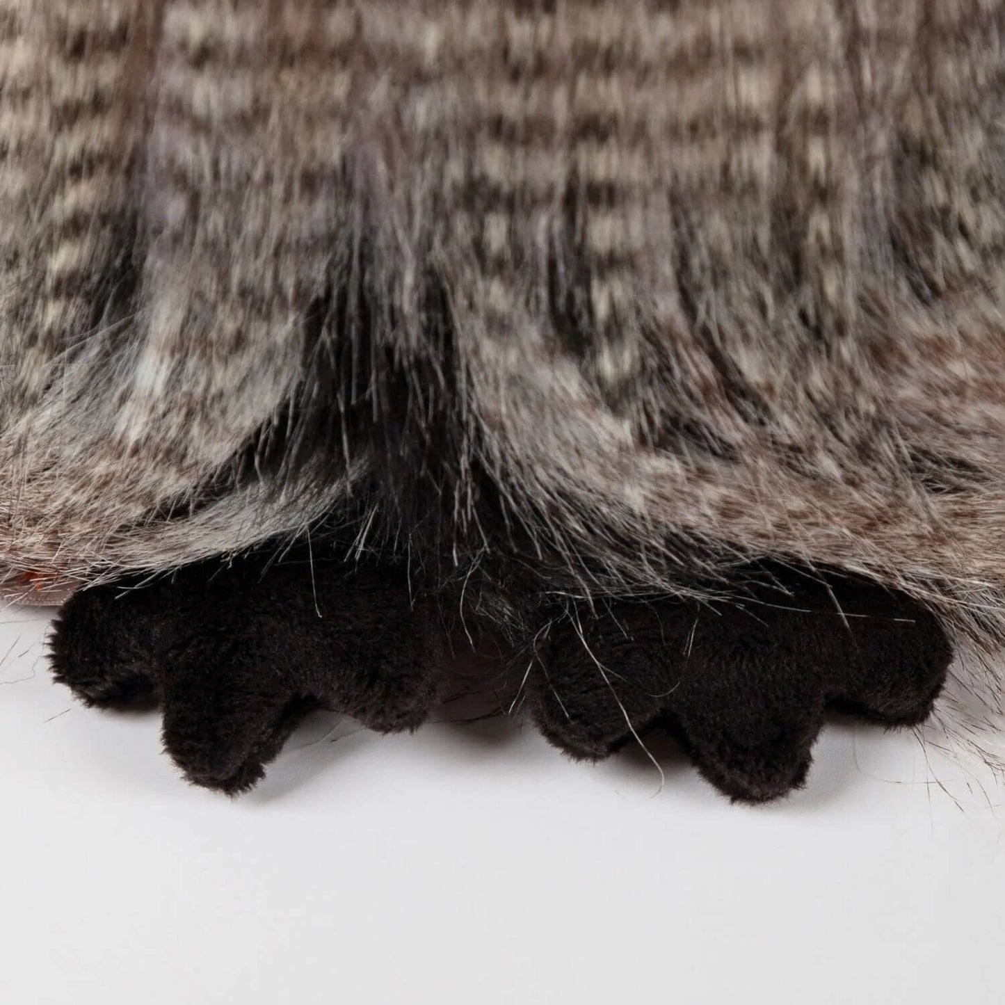 Close-up of sigikid Miss Night Owl