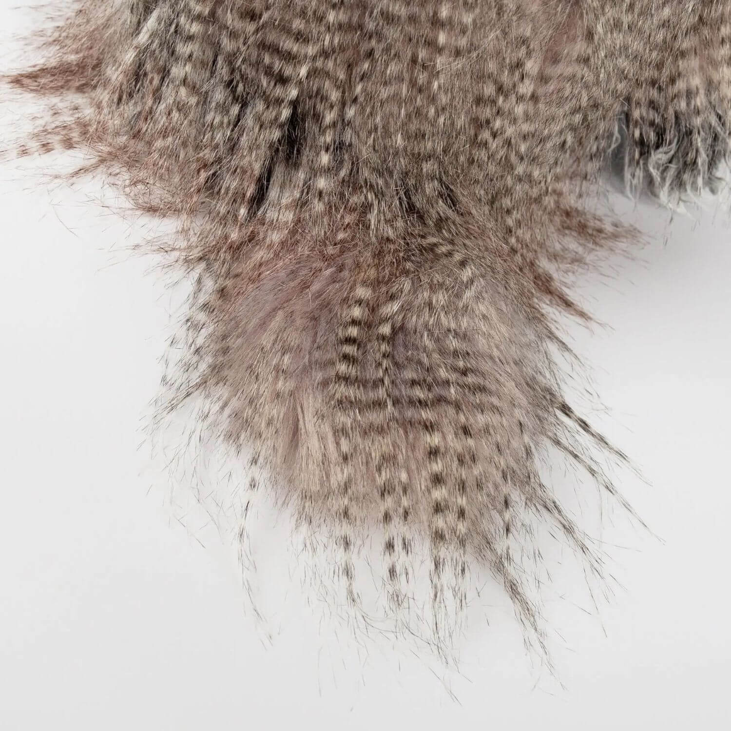 Close-up of sigikid Miss Night Owl