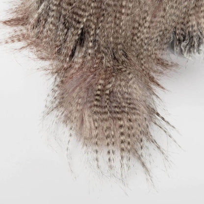Close-up of sigikid Miss Night Owl