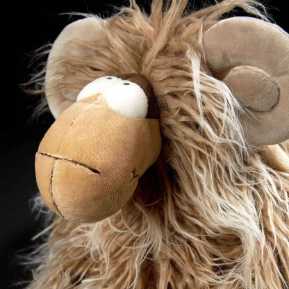 Close-up of Mufflon Muff