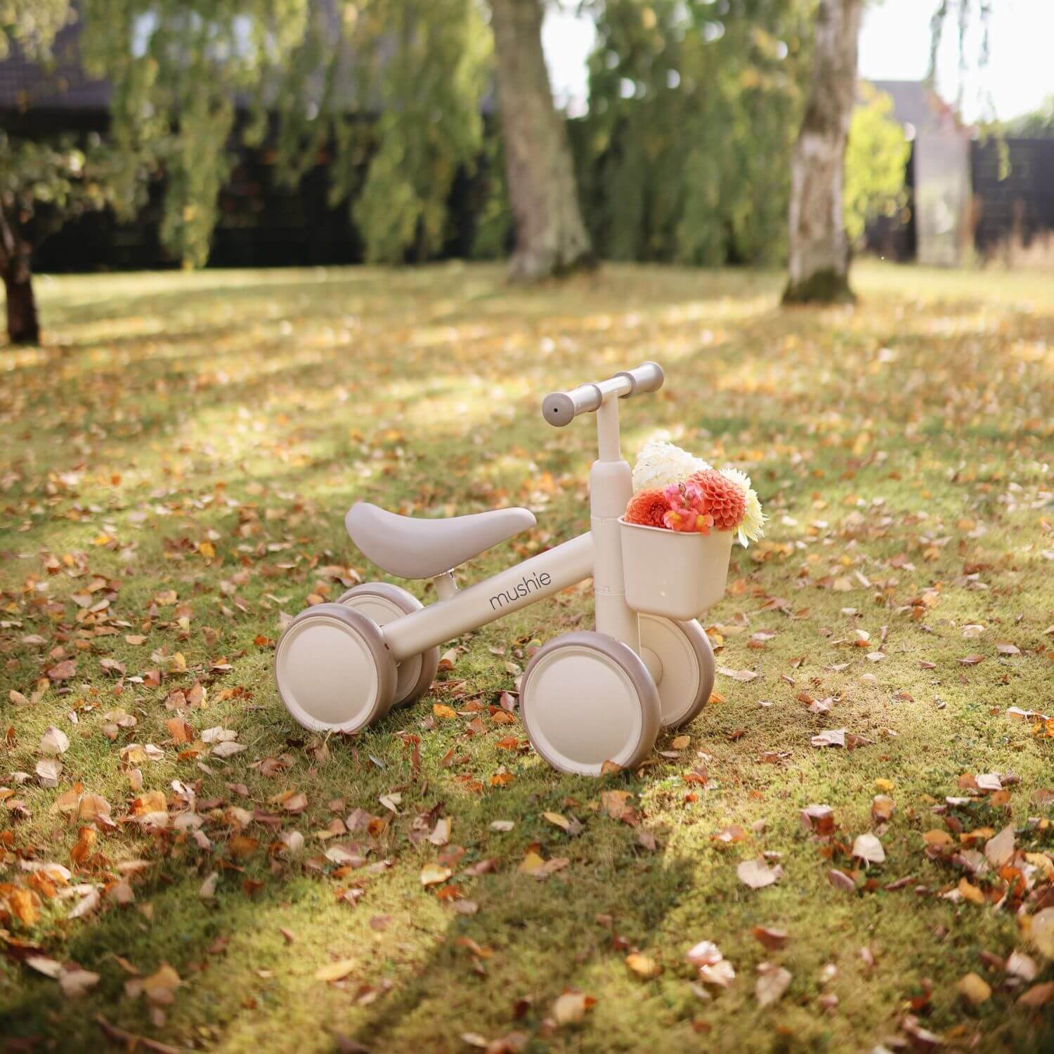Mushie Mini Toddler Bike on a grassy area with fallen leaves.