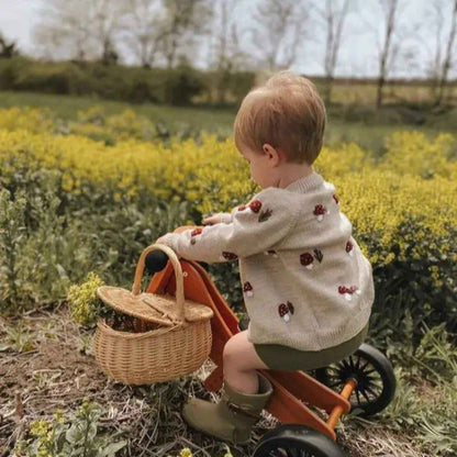 Boy in Mushroom Embroidery Knit Top, riding a tricycle