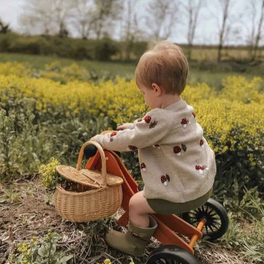 Boy in Mushroom Embroidery Knit Top, riding a tricycle