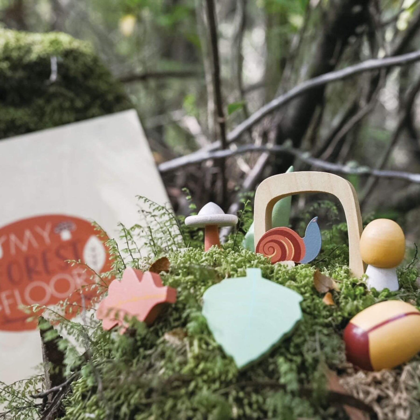 Tender Leaf My Forest Floor on a bed of moss with a blurred forest background