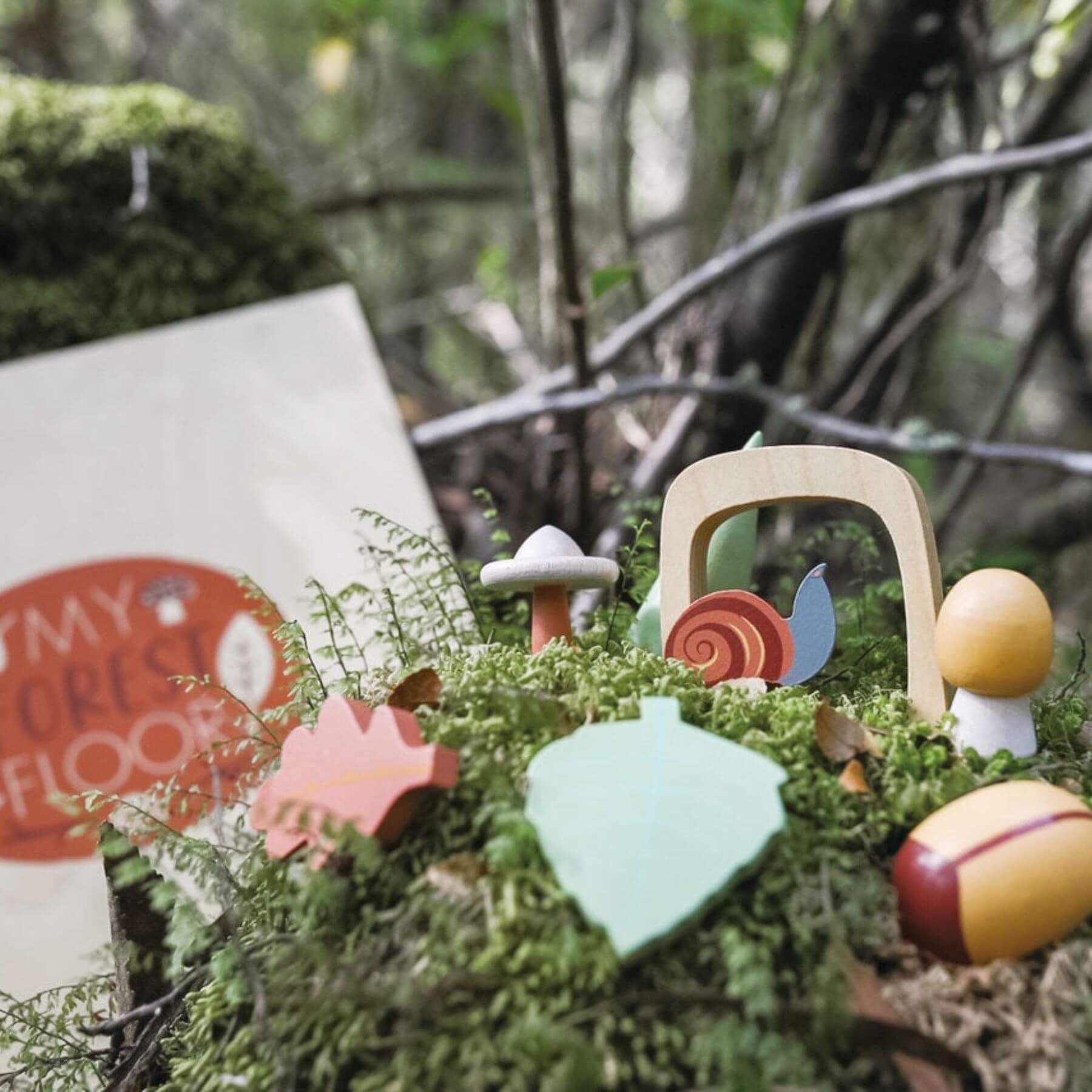 Tender Leaf My Forest Floor on a bed of moss with a blurred forest background