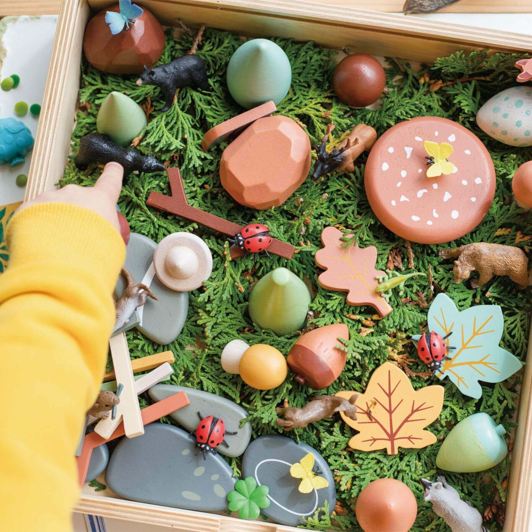 Tender Leaf My Forest Floor