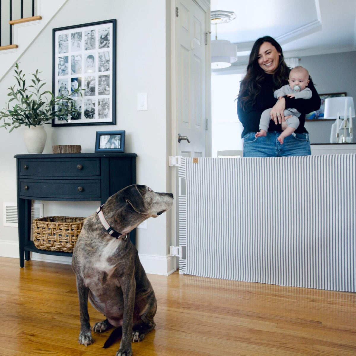 A large gray dog sits on a hardwood floor in a home entryway, looking toward a woman holding a baby behind a white striped safety gate. The woman is smiling, and the dog appears calm and attentive.